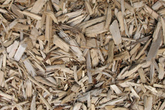 biomass boilers Migvie